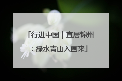 行进中国｜宜居锦州：绿水青山入画来