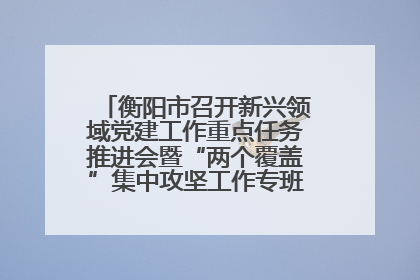 衡阳市召开新兴领域党建工作重点任务推进会暨“两个覆盖”集中攻坚工作专班 第一次会议