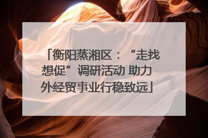 衡阳蒸湘区：“走找想促”调研活动 助力外经贸事业行稳致远
