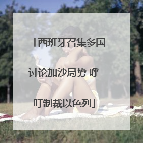 西班牙召集多国讨论加沙局势 呼吁制裁以色列