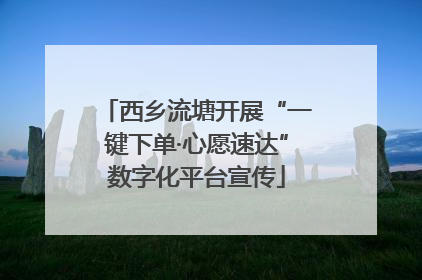 西乡流塘开展“一键下单·心愿速达”数字化平台宣传