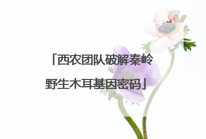 西农团队破解秦岭野生木耳基因密码