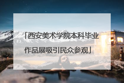 西安美术学院本科毕业作品展吸引民众参观
