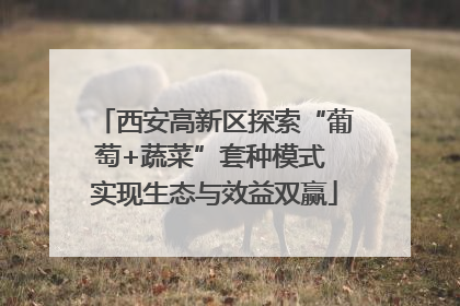 西安高新区探索“葡萄+蔬菜”套种模式 实现生态与效益双赢