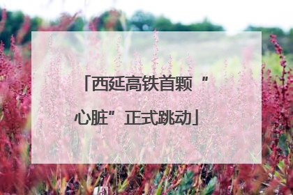 西延高铁首颗“心脏”正式跳动