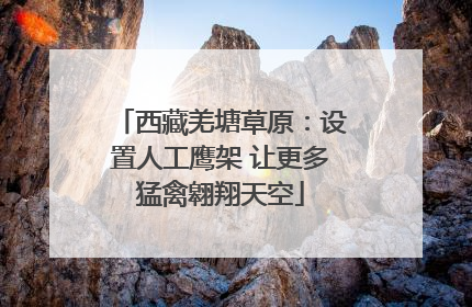 西藏羌塘草原：设置人工鹰架 让更多猛禽翱翔天空