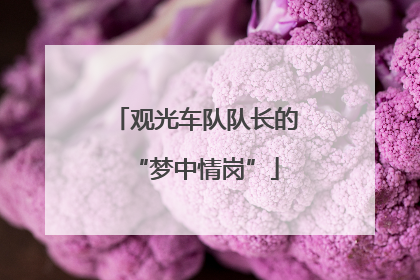 观光车队队长的“梦中情岗”