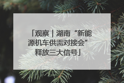 观察｜湖南“新能源机车供需对接会”释放三大信号