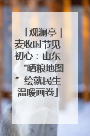 观澜亭｜麦收时节见初心：山东“晒粮地图”绘就民生温暖画卷
