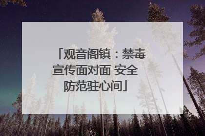 观音阁镇：禁毒宣传面对面 安全防范驻心间