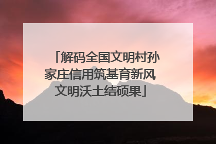 解码全国文明村孙家庄信用筑基育新风文明沃土结硕果