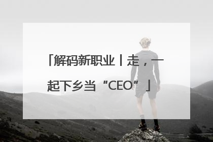 解码新职业丨走，一起下乡当“CEO”
