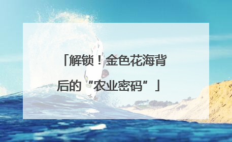 解锁！金色花海背后的“农业密码”