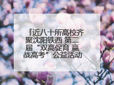 近八十所高校齐聚沈阳铁西 第二届“双高促育 赢战高考”公益活动即将启幕