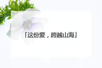 这份爱，跨越山海