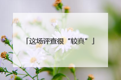 这场评查很“较真”