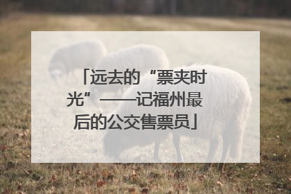 远去的“票夹时光”——记福州最后的公交售票员