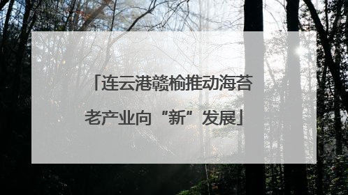 连云港赣榆推动海苔老产业向“新”发展