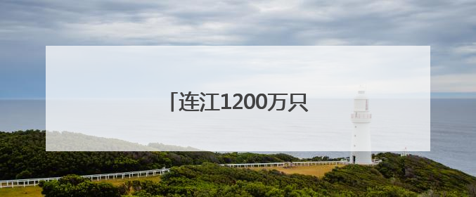 连江1200万只海马“游”入市场