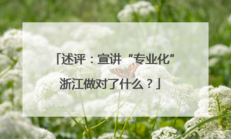 述评：宣讲“专业化” 浙江做对了什么？