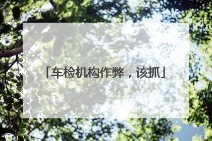 车检机构作弊，该抓
