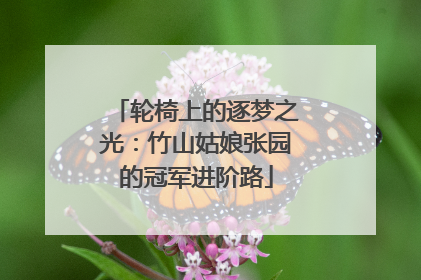 轮椅上的逐梦之光：竹山姑娘张园的冠军进阶路