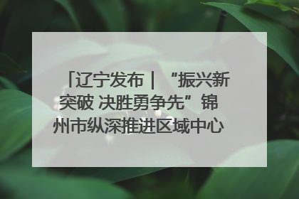 辽宁发布｜“振兴新突破 决胜勇争先”锦州市纵深推进区域中心城市建设 打造高质量发展新增长极