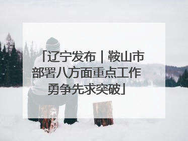 辽宁发布｜鞍山市部署八方面重点工作勇争先求突破