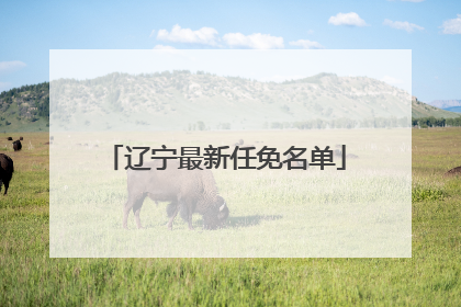辽宁最新任免名单