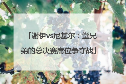 谢伊vs尼基尔：堂兄弟的总决赛席位争夺战