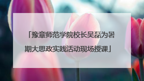 豫章师范学院校长吴磊为暑期大思政实践活动现场授课