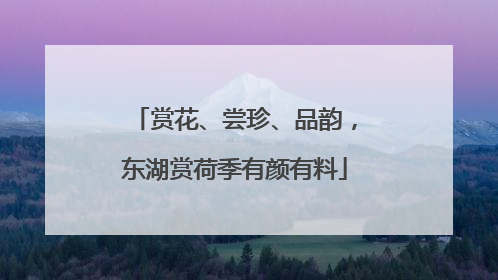 赏花、尝珍、品韵，东湖赏荷季有颜有料