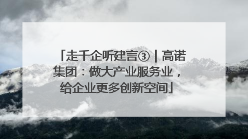 走千企听建言③｜高诺集团：做大产业服务业，给企业更多创新空间