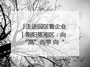 走进园区看企业｜衡阳蒸湘区：向“高”而攀 向“新”而行