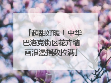 超甜好暖！中华巴洛克街区花卉墙画浪漫指数拉满