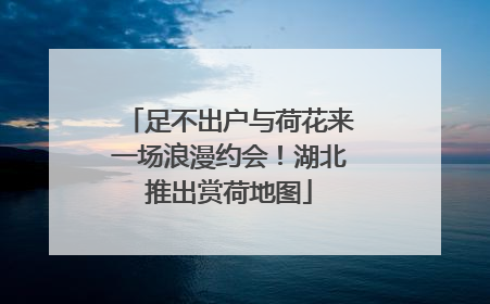 足不出户与荷花来一场浪漫约会！湖北推出赏荷地图