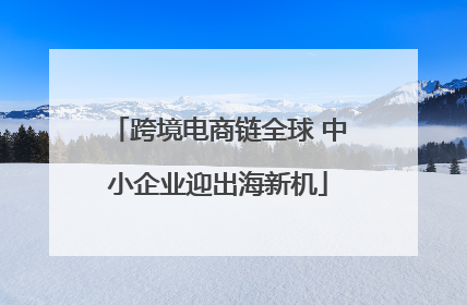 跨境电商链全球 中小企业迎出海新机