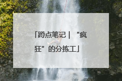 蹲点笔记｜“疯狂”的分拣工
