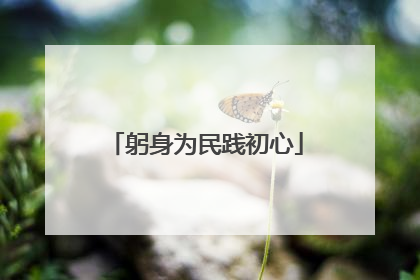 躬身为民践初心