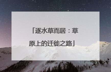 逐水草而居：草原上的迁徙之路