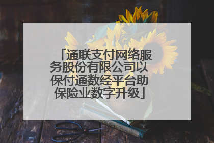 通联支付网络服务股份有限公司以保付通数经平台助保险业数字升级