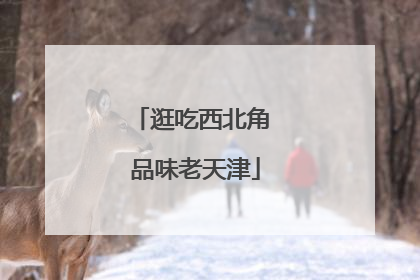 逛吃西北角 品味老天津