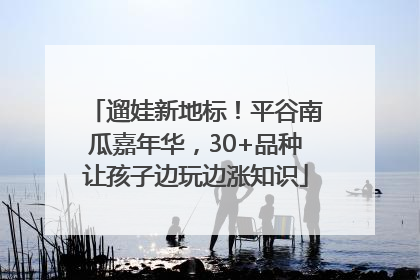遛娃新地标！平谷南瓜嘉年华，30+品种让孩子边玩边涨知识
