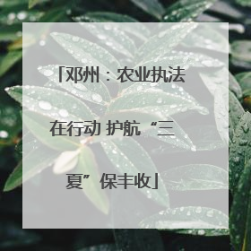 邓州：农业执法在行动 护航“三夏”保丰收