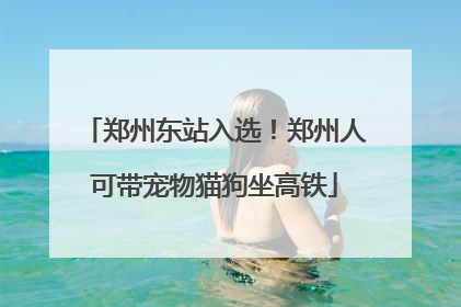 郑州东站入选！郑州人可带宠物猫狗坐高铁