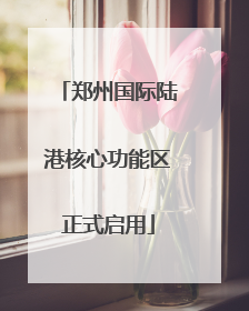 郑州国际陆港核心功能区正式启用