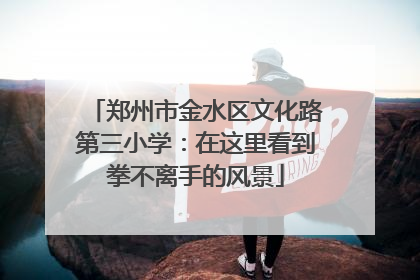 郑州市金水区文化路第三小学：在这里看到拳不离手的风景