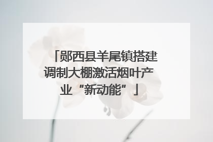 郧西县羊尾镇搭建调制大棚激活烟叶产业“新动能”