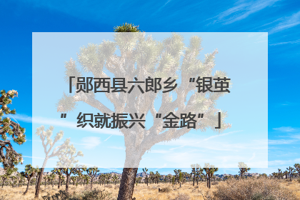 郧西县六郎乡“银茧”织就振兴“金路”