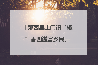 郧西县土门镇“椒”香四溢富乡民